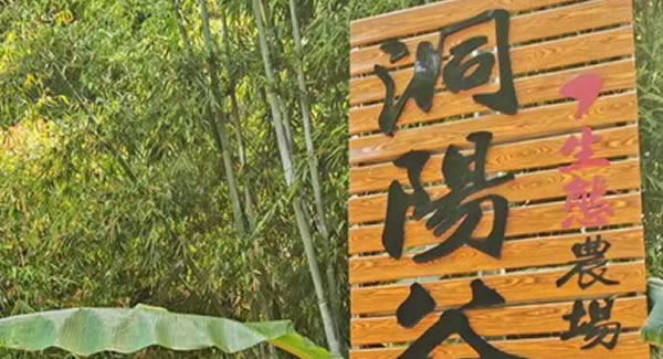 6t体育合页2019踏春拓展--经历中成长，成长中经历?