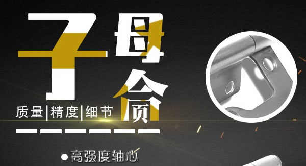 子母合页，6t体育专业|6t体育五金&东莞合页?