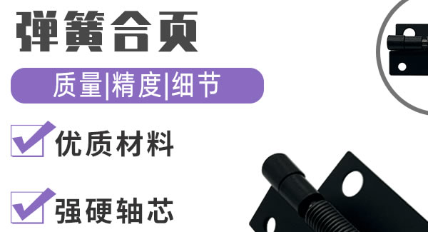 弹簧合页，6t体育制造|6t体育五金&东莞合页?