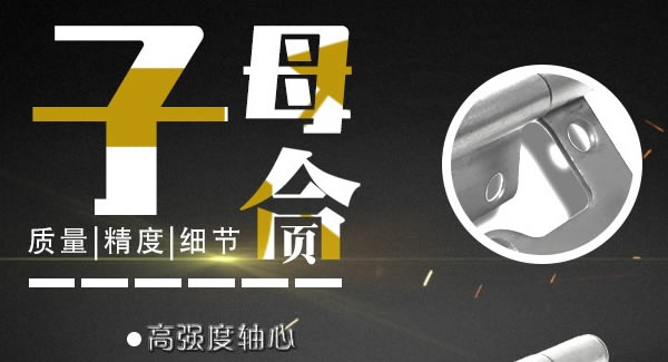 6t体育子母合页，值得你信赖的合页|6t体育五金&东莞合页?