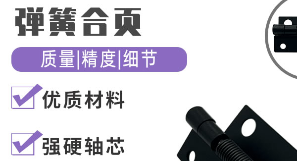 弹簧合页，你身边信赖的合页|6t体育五金&东莞合页?