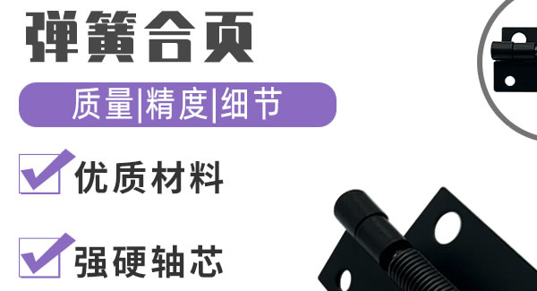 6t体育弹簧合页，你身边信赖的合页|6t体育五金&东莞合页?