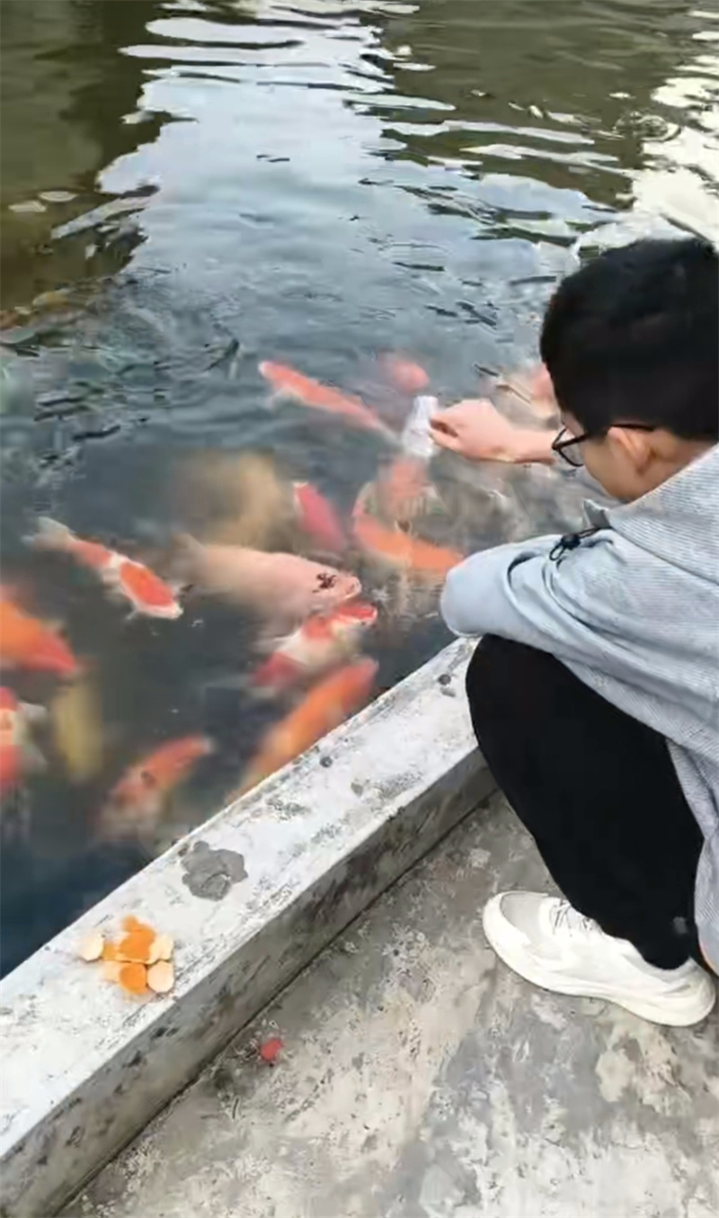 4海南保亭的年，是山海辽阔，是生机盎然2.jpg