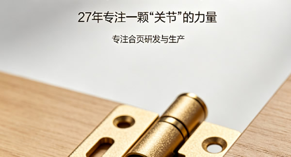 万物皆可爱，合页配四海｜6t体育五金，27年专注合页的力量（上篇）?